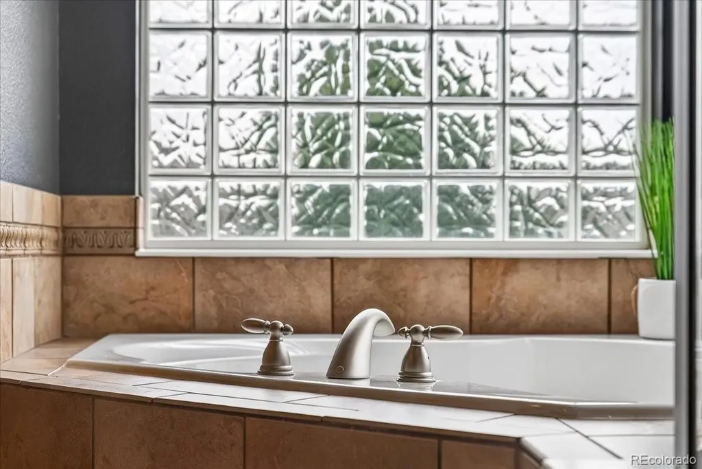 7414 Halite Court Castle Rock CO 80108