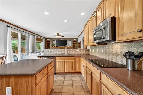 7414 Halite Court Castle Rock CO 80108