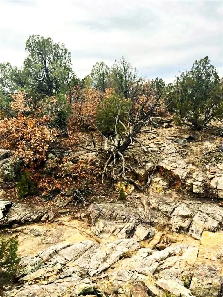 3115 Canyon Heights Road Pueblo CO 81005
