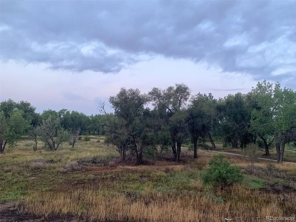 905 Damson Street Pueblo CO 81001