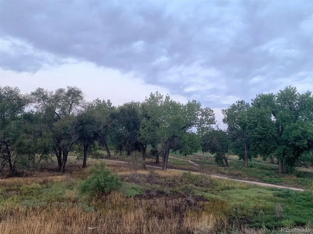905 Damson Street Pueblo CO 81001