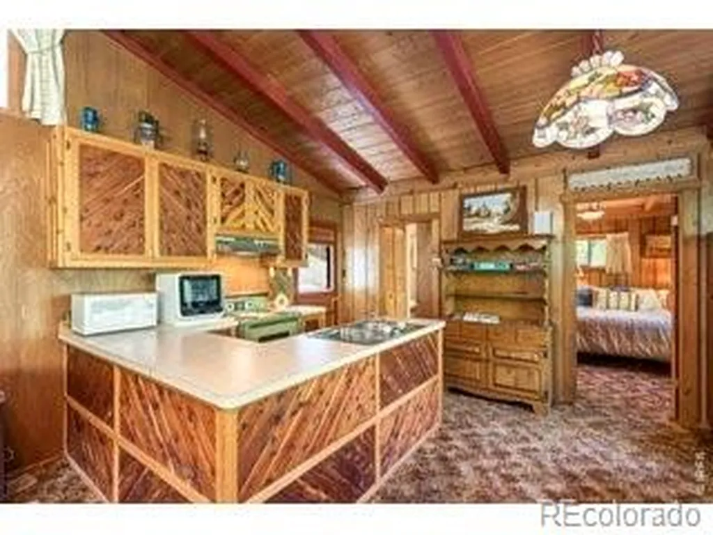 702 Bryan Avenue Nederland CO 80466
