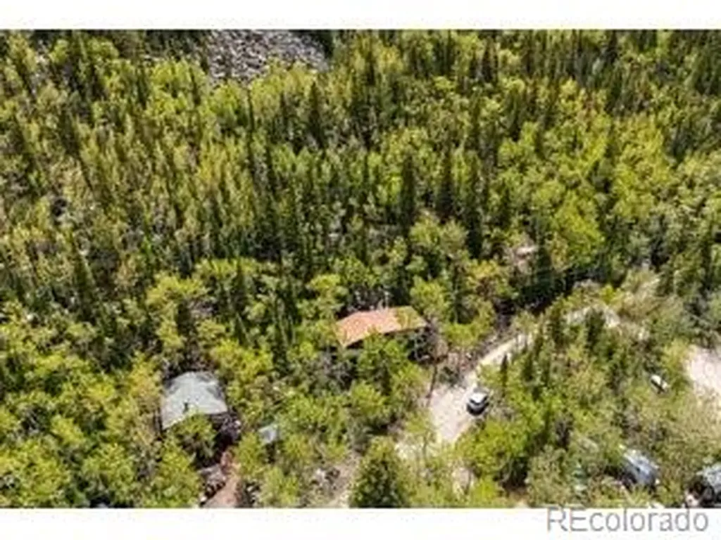 702 Bryan Avenue Nederland CO 80466