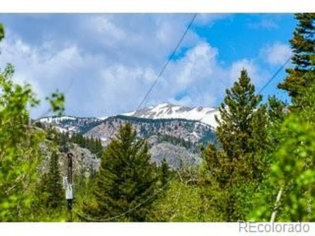 702 Bryan Avenue Nederland CO 80466