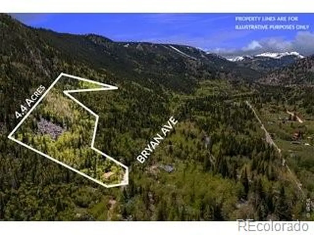 702 Bryan Avenue Nederland CO 80466