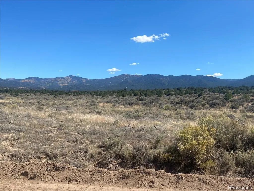Lot 891 Filly Road Fort Garland CO 81133