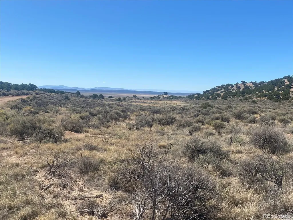 Lot 891 Filly Road Fort Garland CO 81133
