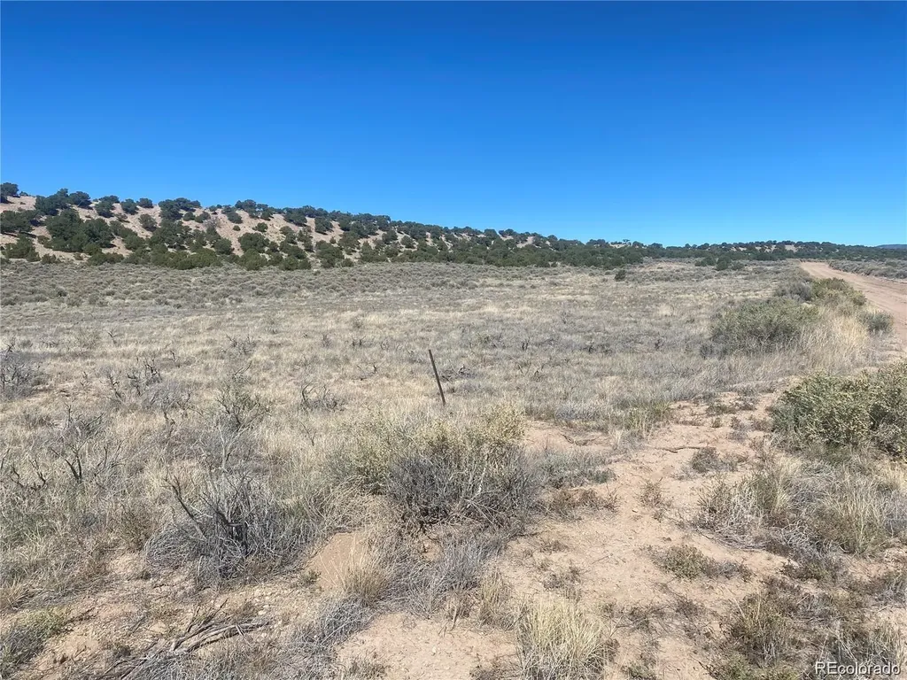 Lot 891 Filly Road Fort Garland CO 81133