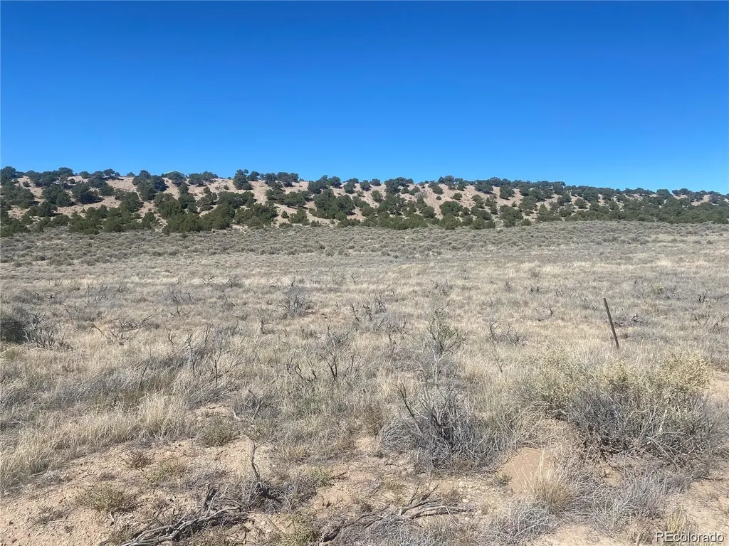Lot 891 Filly Road Fort Garland CO 81133