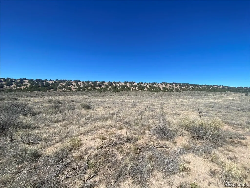 Lot 891 Filly Road Fort Garland CO 81133