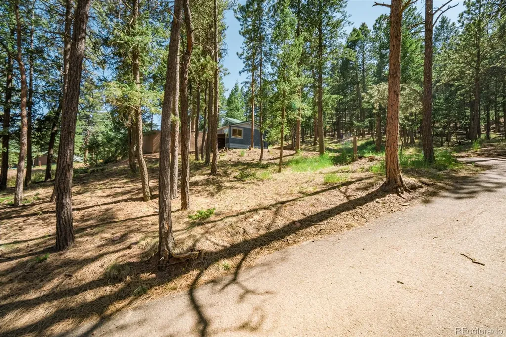 196 Summer Haven Drive Woodland Park CO 80863