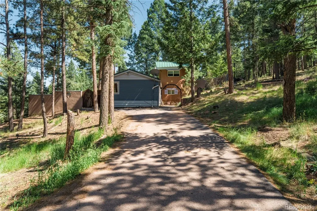 196 Summer Haven Drive Woodland Park CO 80863