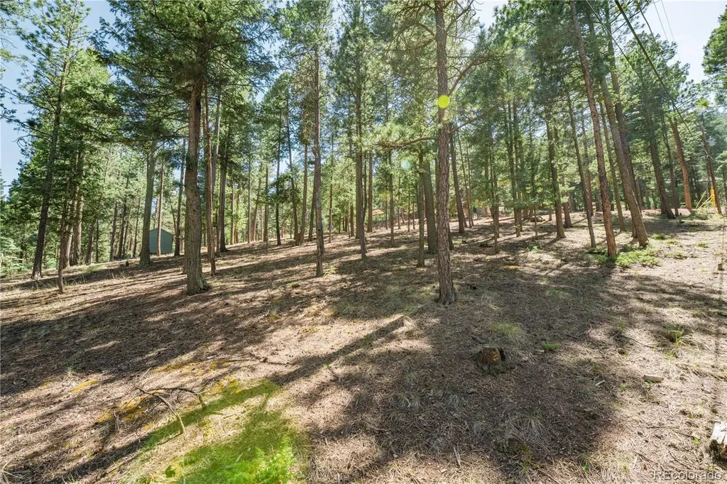 196 Summer Haven Drive Woodland Park CO 80863
