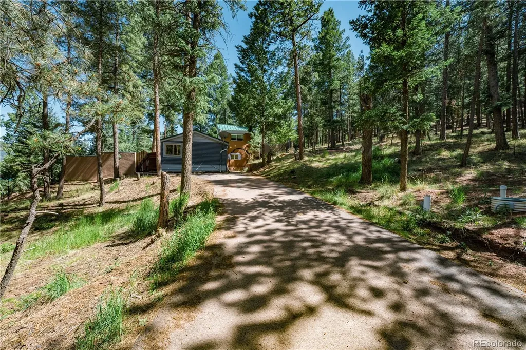 196 Summer Haven Drive Woodland Park CO 80863
