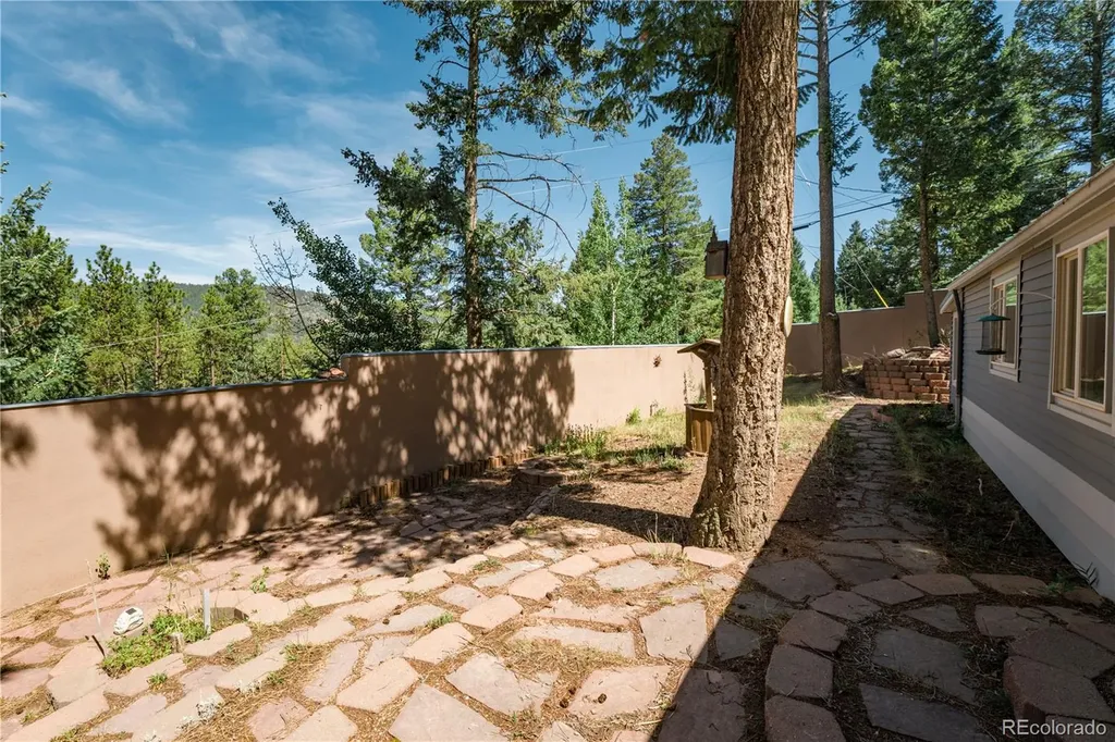 196 Summer Haven Drive Woodland Park CO 80863