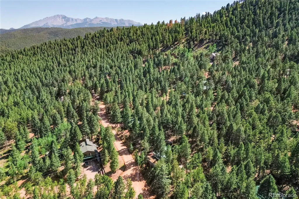 196 Summer Haven Drive Woodland Park CO 80863