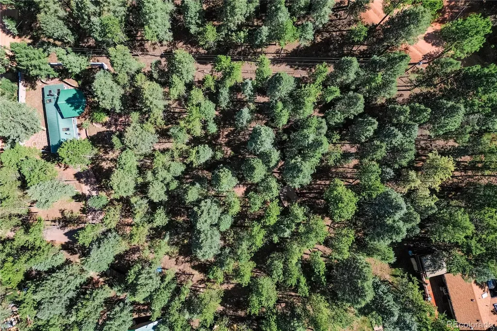 196 Summer Haven Drive Woodland Park CO 80863