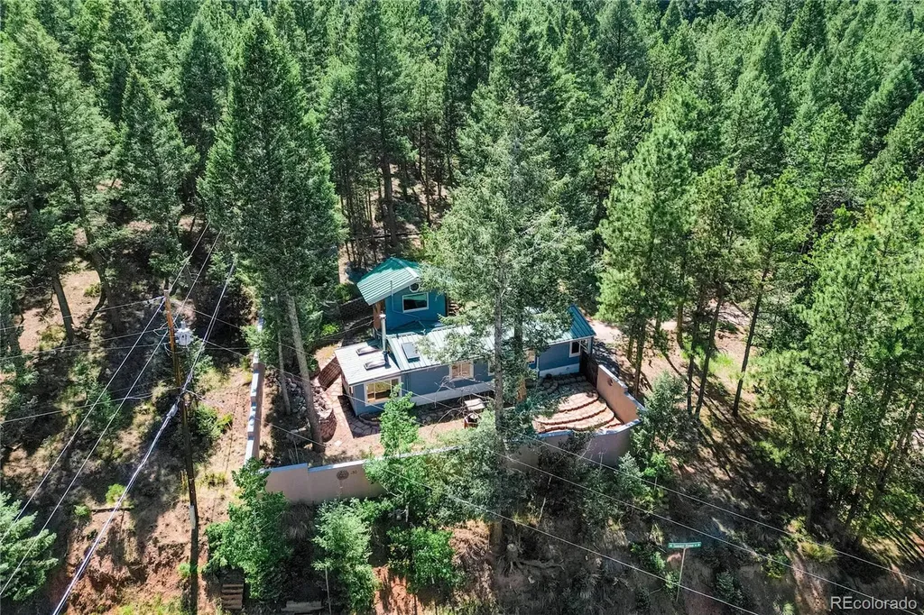 196 Summer Haven Drive Woodland Park CO 80863