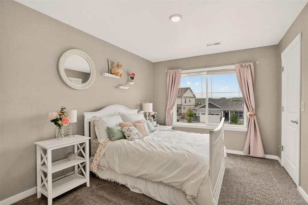 13984 Scarlet Sage Street Parker CO 80134