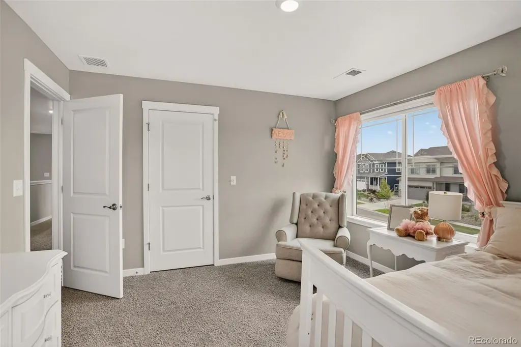 13984 Scarlet Sage Street Parker CO 80134