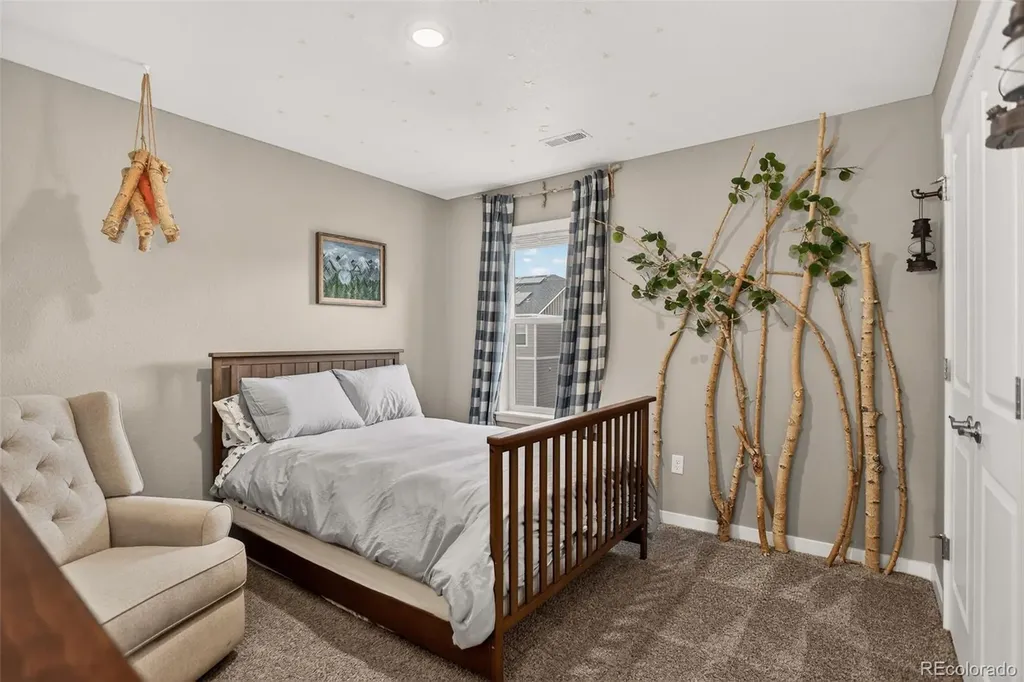 13984 Scarlet Sage Street Parker CO 80134