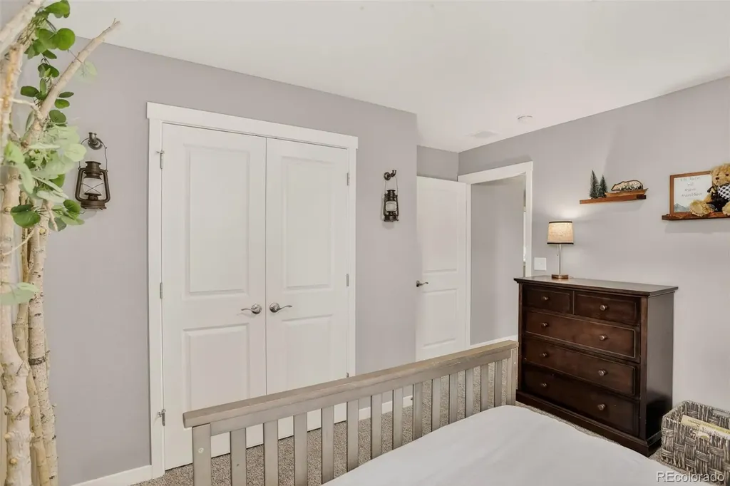 13984 Scarlet Sage Street Parker CO 80134