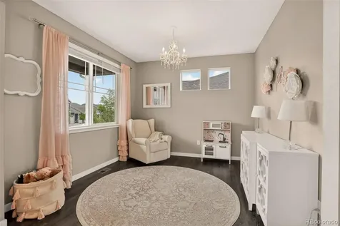 13984 Scarlet Sage Street Parker CO 80134