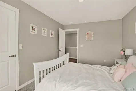 13984 Scarlet Sage Street Parker CO 80134