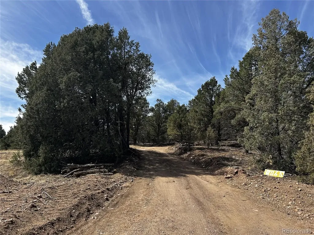 2065 Indian Wells Road Cotopaxi CO 81223