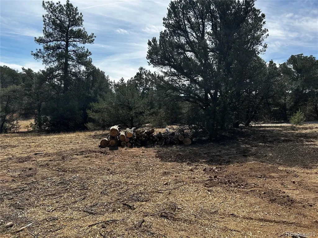 2065 Indian Wells Road Cotopaxi CO 81223