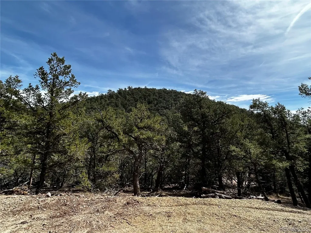 2065 Indian Wells Road Cotopaxi CO 81223