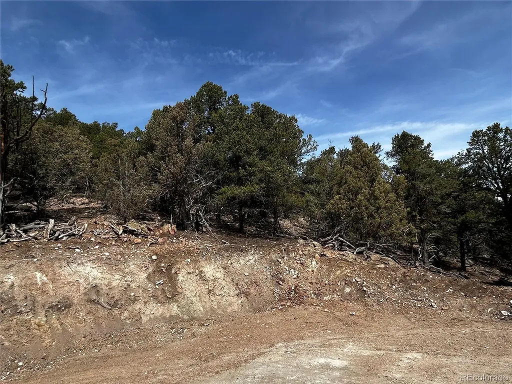 2065 Indian Wells Road Cotopaxi CO 81223