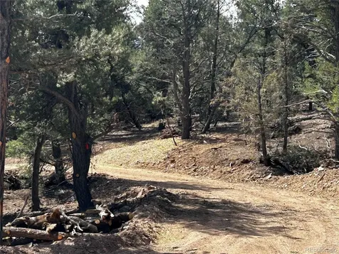 2065 Indian Wells Road Cotopaxi CO 81223