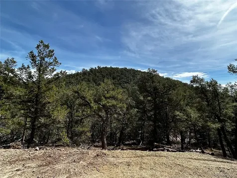 2065 Indian Wells Road Cotopaxi CO 81223