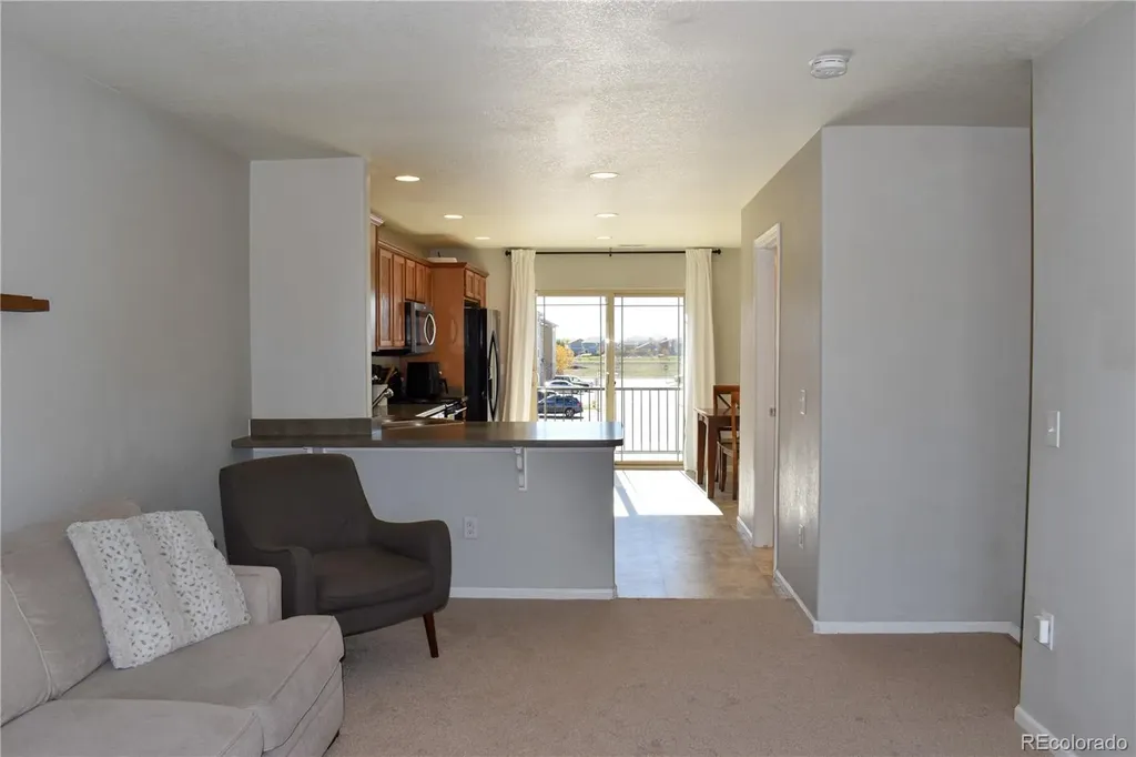 4785 E 98th Place Thornton CO 80229