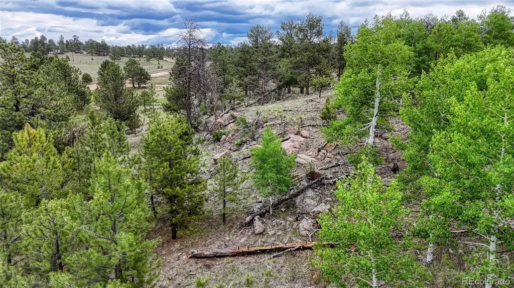 330 Arrowhead Dr Drive Florissant CO 80816