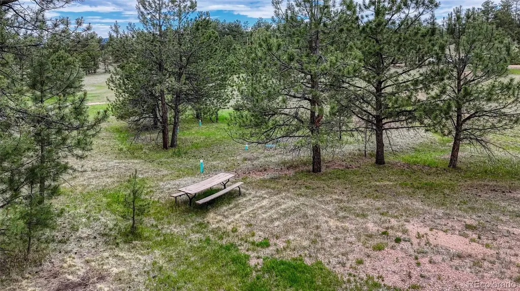 330 Arrowhead Dr Drive Florissant CO 80816