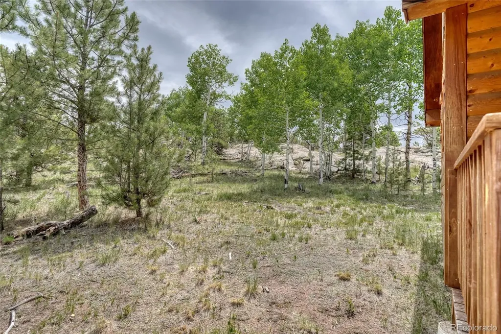 330 Arrowhead Dr Drive Florissant CO 80816