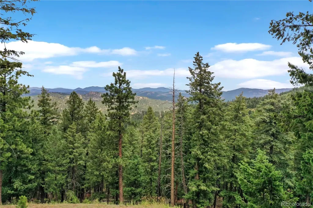 26367 Bell Park Drive Evergreen CO 80439