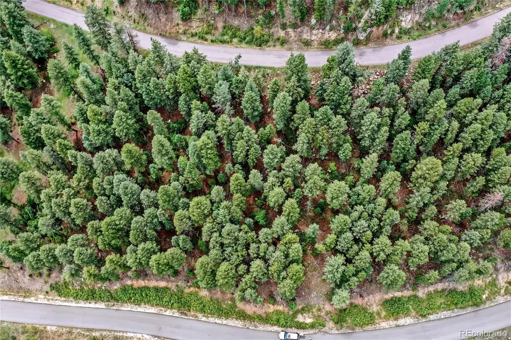 26367 Bell Park Drive Evergreen CO 80439