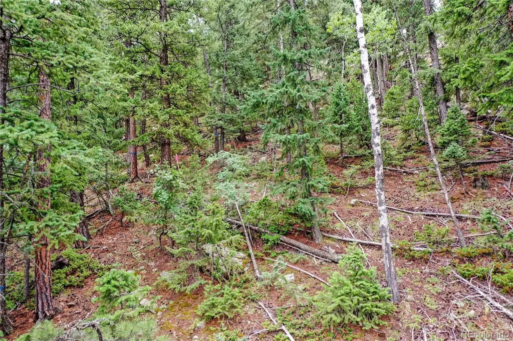 26367 Bell Park Drive Evergreen CO 80439