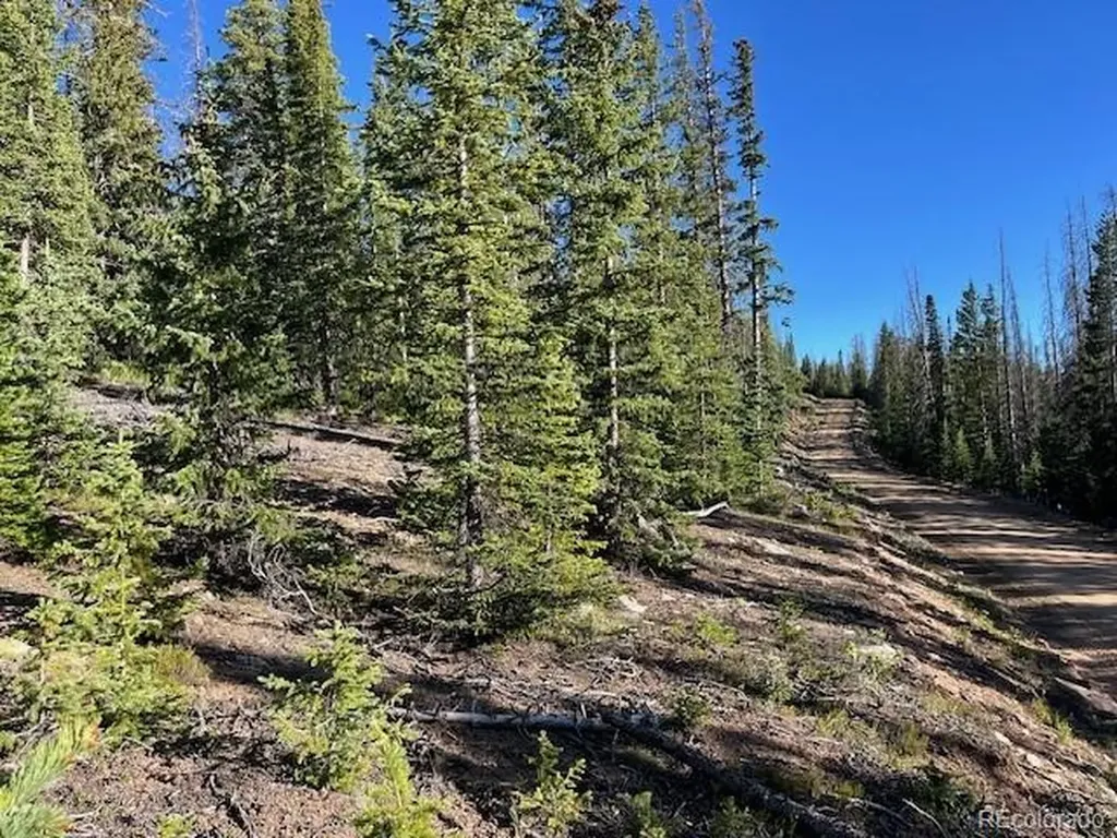 Lot 6525 Schlueter Road San Luis CO 81152