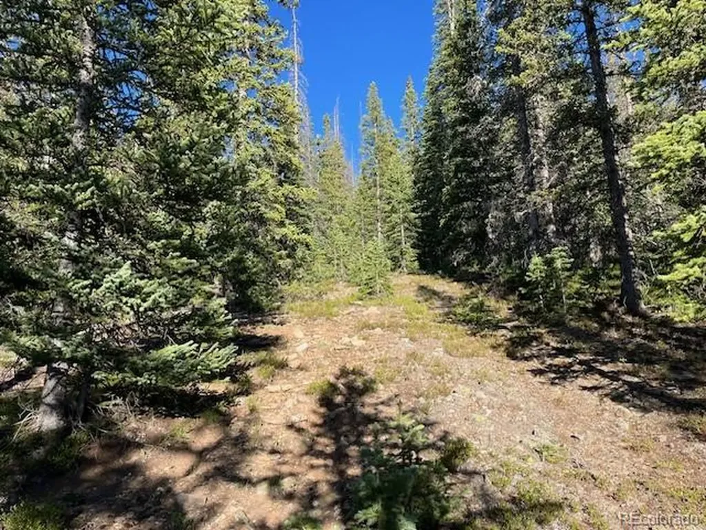 Lot 6525 Schlueter Road San Luis CO 81152