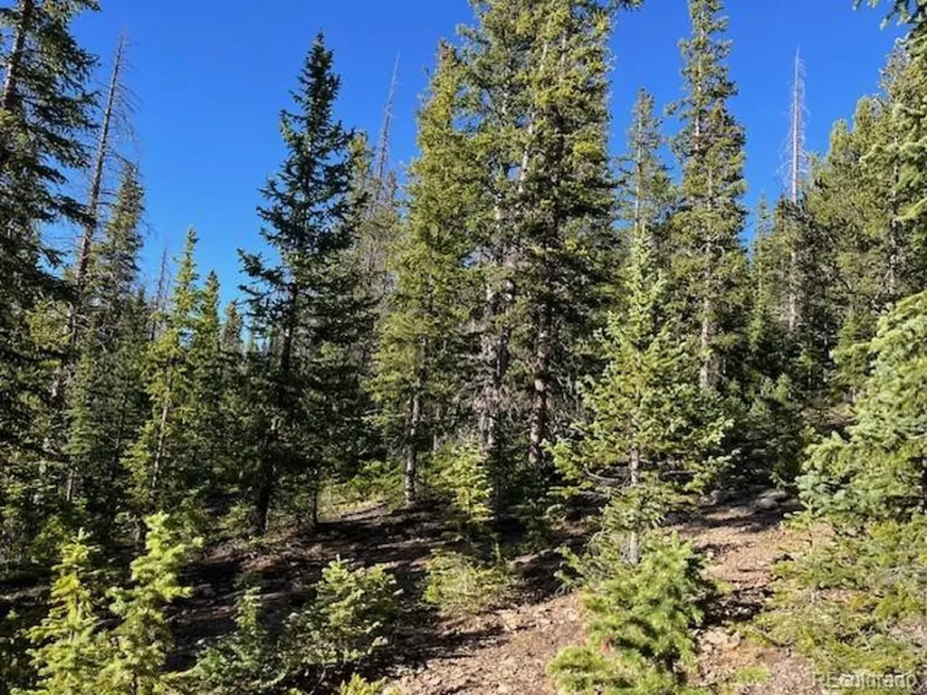 Lot 6525 Schlueter Road San Luis CO 81152