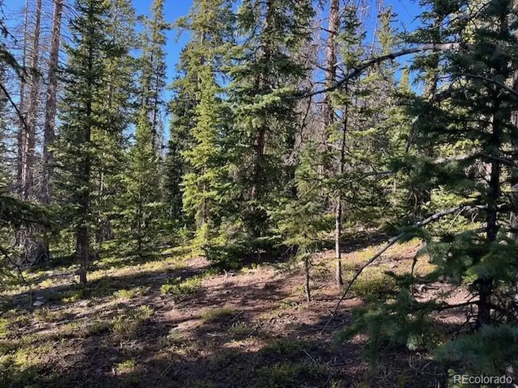 Lot 6525 Schlueter Road San Luis CO 81152