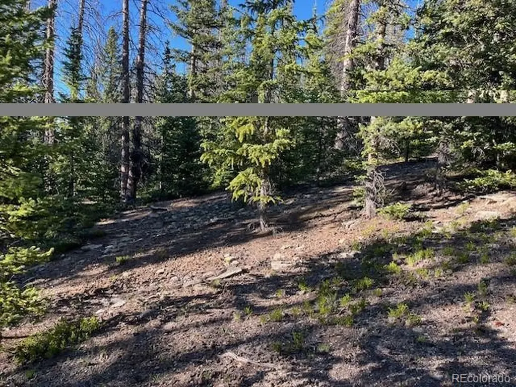 Lot 6525 Schlueter Road San Luis CO 81152