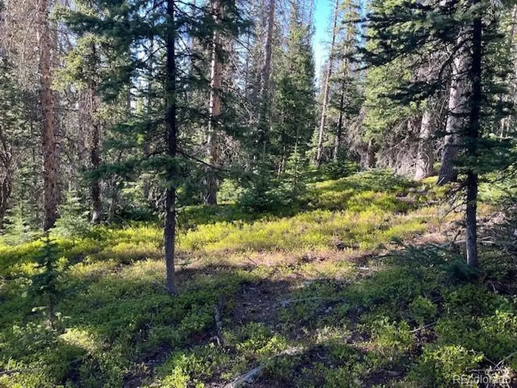 Lot 6525 Schlueter Road San Luis CO 81152