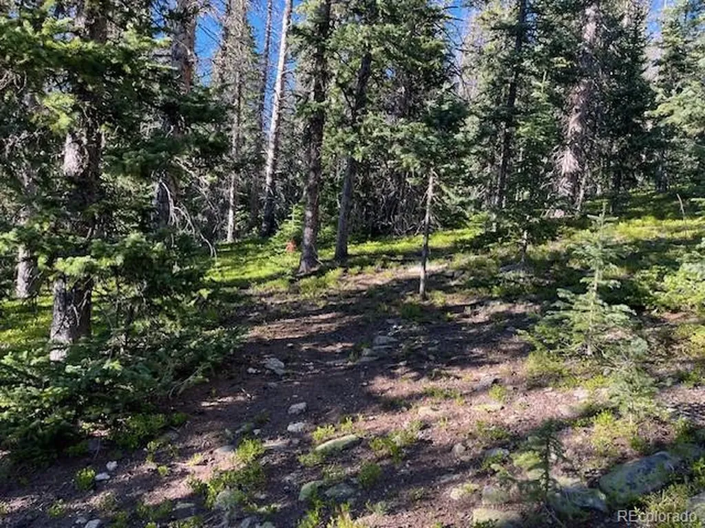 Lot 6525 Schlueter Road San Luis CO 81152