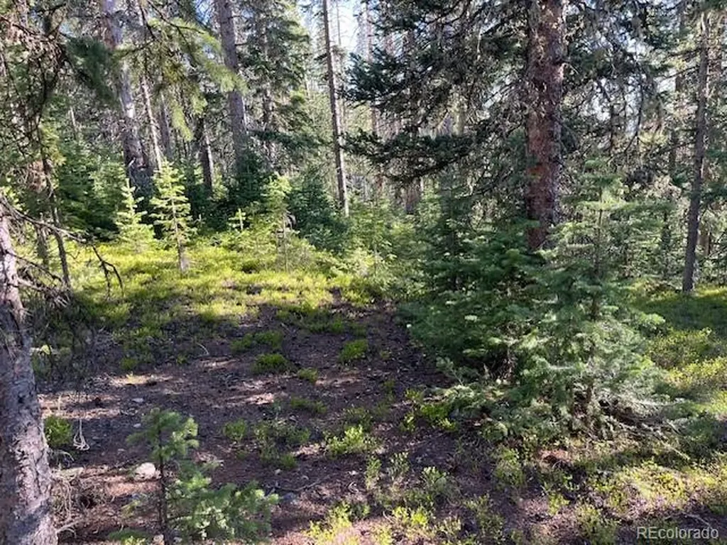 Lot 6525 Schlueter Road San Luis CO 81152