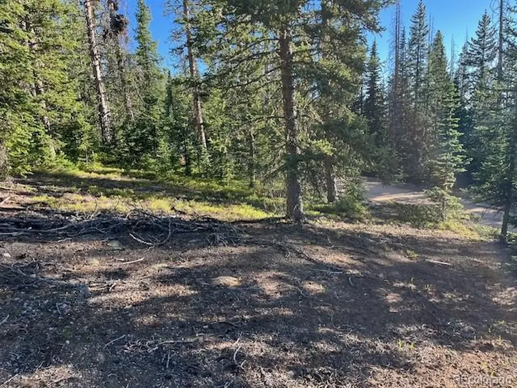 Lot 6525 Schlueter Road San Luis CO 81152